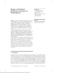 Evolutionary Dynamics of Morphogenesis
