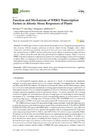 Function and Mechanism of WRKY Transcription Factors in Abiotic Stress Responses of Plants