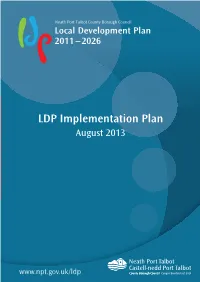 LDP Implementation Plan August 2013
