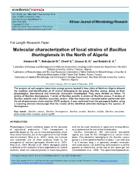 Molecular Characterization of Local Strains of Bacillus Thuringiensis in the North of Algeria