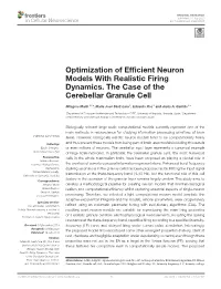 Optimization of Efficient Neuron Models with Realistic Firing Dynamics. the Case of the Cerebellar Granule Cell