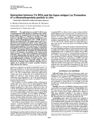 Interaction Between VA RNA and the Lupus Antigen La: Formation of A