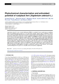 Phytochemical Characterization and Antioxidant Potential of Rustyback Fern (Asplenium Ceterach L.)