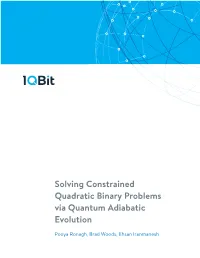 Solving Constrained Quadratic Binary Problems Via Quantum Adiabatic Evolution