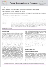 A New Cytospora Species Pathogenic on Carpobrotus Edulis in Its Native Habitat