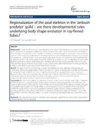 Ambush Predator’ Guild – Are There Developmental Rules Underlying Body Shape Evolution in Ray-Finned Fishes? Erin E Maxwell1* and Laura AB Wilson2
