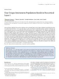 Four Unique Interneuron Populations Reside in Neocortical Layer 1