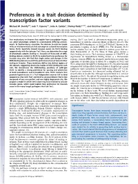Preferences in a Trait Decision Determined by Transcription Factor Variants