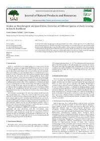 Studies on the Morphological Character of Different Species Of