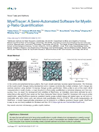 A Semi-Automated Software for Myelin G-Ratio Quantification