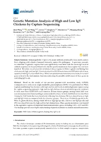 Genetic Mutation Analysis of High and Low Igy Chickens by Capture Sequencing