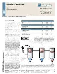 Active Rac1 Detection Kit 2012 09/20