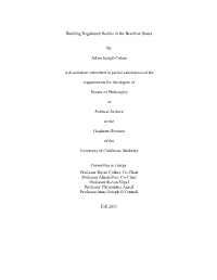 Building Regulatory Bodies in the Brazilian States by Adam Joseph