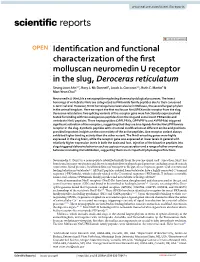 Identification and Functional Characterization of the First