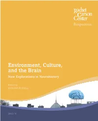 Environment, Culture, and the Brain New Explorations in Neurohistory