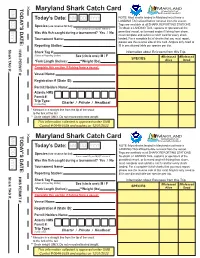 Shark Catch Card