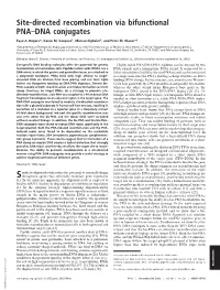 Site-Directed Recombination Via Bifunctional PNA–DNA Conjugates