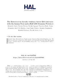 The Enterococcus Faecalis Virulence Factor Elra Interacts with the Human