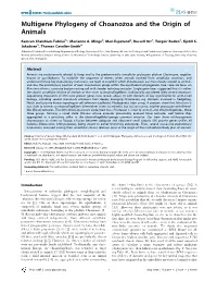 Multigene Phylogeny of Choanozoa and the Origin of Animals