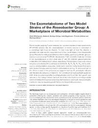The Exometabolome of Two Model Strains of the Roseobacter Group: a Marketplace of Microbial Metabolites