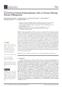 Cervid Prion Protein Polymorphisms: Role in Chronic Wasting Disease Pathogenesis