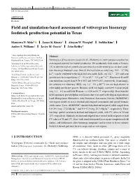 Field and Simulation‐Based Assessment of Vetivergrass