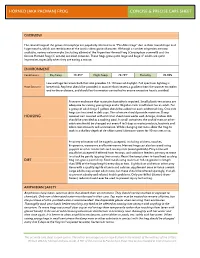 Horned [Aka Pacman] Frog Concise & Precise Care Sheet King