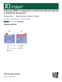 Osteocyte RANKL Is Required for Cortical Bone Loss with Age and Is Induced by Senescence