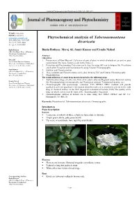 Phytochemical Analysis of Tabernaemontana Divaricata