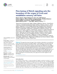 Fine-Tuning of Notch Signaling Sets the Boundary of the Organ of Corti And
