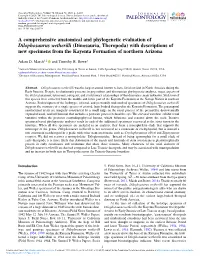 A Comprehensive Anatomical And