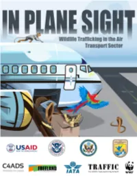 In-Plane-Sight-D2bd.Pdf