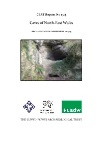 CPAT Report No 1313