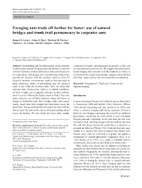 Foraging Ants Trade Off Further for Faster: Use of Natural Bridges and Trunk Trail Permanency in Carpenter Ants