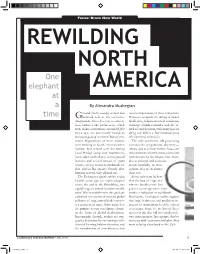Rewilding North America Set Aside to Become the Would See the Introduction of Giant Introduction of Giant Wilderness Again