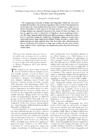 Testing Conjectures About Morphological Diversity in Cichlids of Lakes Malawi and Tanganyika