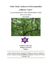 Value Chain Analysis of Choerospondias Axillaries “Lapsi” (A Case Study from Three Vdcs of Parbat District, Nepal) Research Investigator Jiwan Paudel