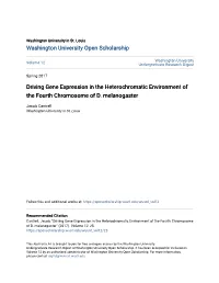 Driving Gene Expression in the Heterochromatic Environment of the Fourth Chromosome of D