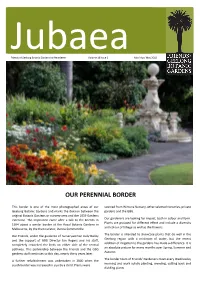 Jubaea 2018 Autumn