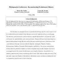 Phylogenetics Laboratory: Reconstructing Evolutionary History