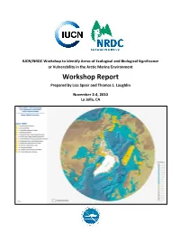 Workshop Report Prepared by Lisa Speer and Thomas L