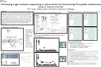 Harnessing Single-Molecule Sequencing to Characterize the Fast-Evolving Drosophila Subtelomere Xander M