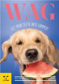 R Teeth Into S