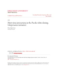 Host-Virus Interactions in the Pacific White Shrimp, Litopenaeus Vannamei Duan Sriyotee Loy Iowa State University