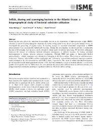 Selfish, Sharing and Scavenging Bacteria in the Atlantic Ocean: A