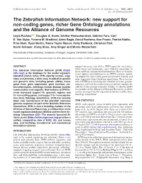 The Zebrafish Information Network: New Support for Non-Coding Genes