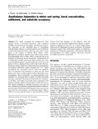 Semibalanus Balanoides in Winter and Spring: Larval Concentration, Settlement, and Substrate Occupancy
