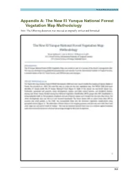The New El Yunque National Forest Vegetation Map Methodology Note: the Following Document Was Inserted As Originally Written and Formatted