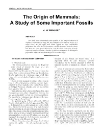 The Origin of Mammals: a Study of Some Important Fossils