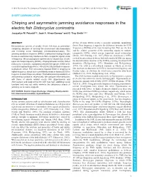 Chirping and Asymmetric Jamming Avoidance Responses in the Electric Fish Distocyclus Conirostris Jacquelyn M